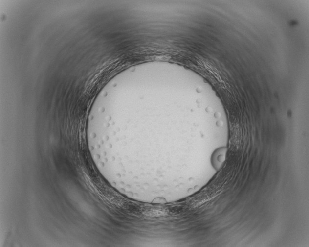 X0000087710594200705181846