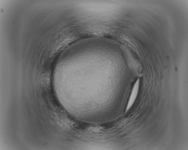 X0000087710595200705181846