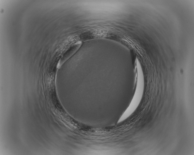 X0000087710601200705181846