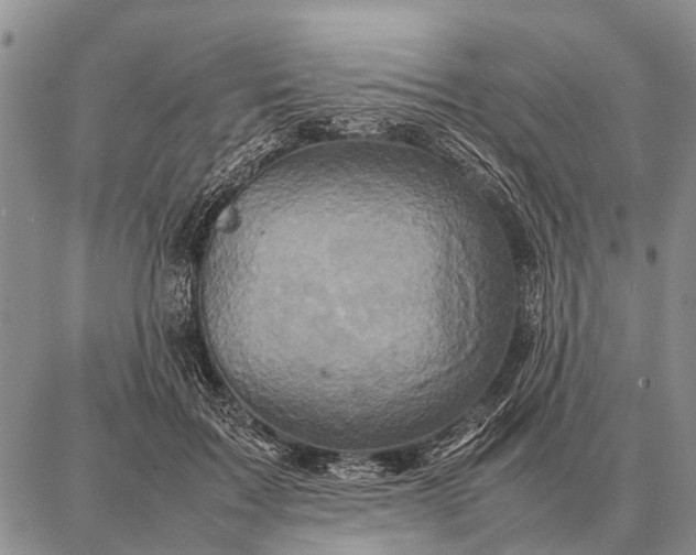 X0000087710603200705181846