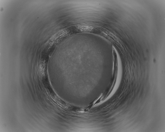 X0000087710604200705181846