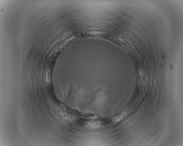 X0000087710606200705181846