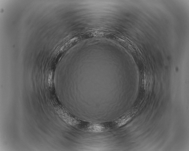 X0000087710610200705181846