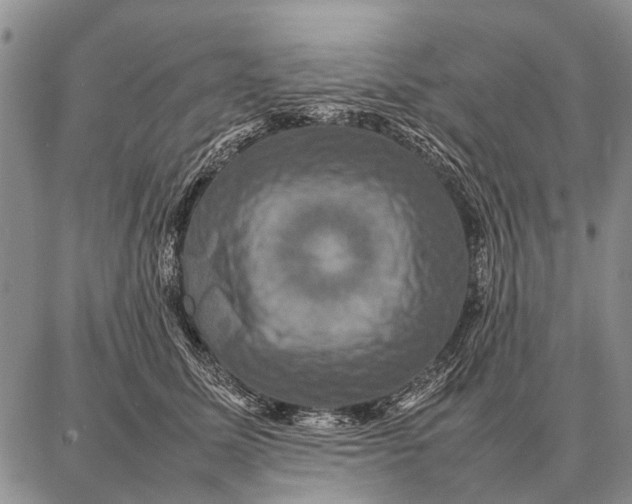 X0000087710611200705181846