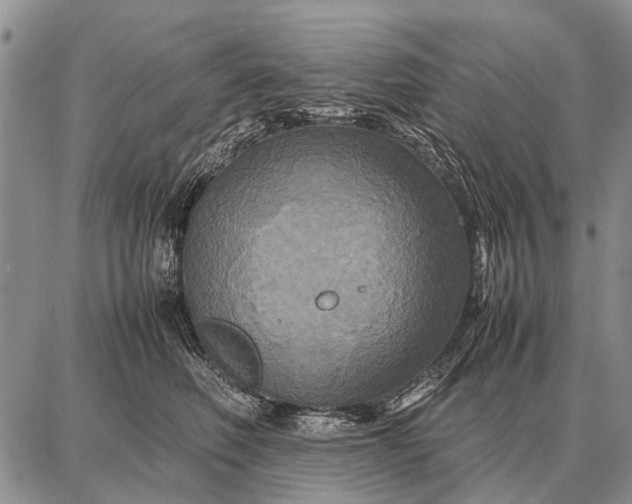X0000087710614200705181846