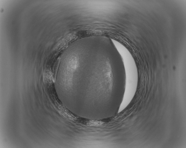 X0000087710617200705181846