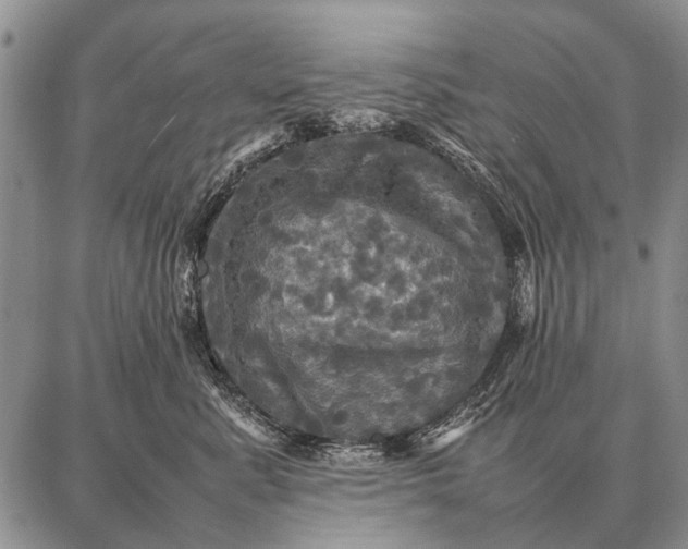 X0000087710619200705181846