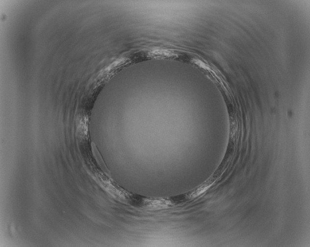 X0000087710621200705181846