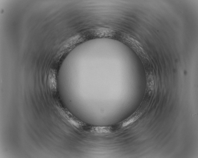 X0000087710622200705181846