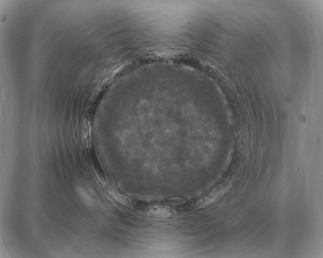 X0000087710624200705181846