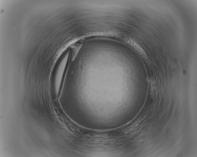 X0000087710628200705181845