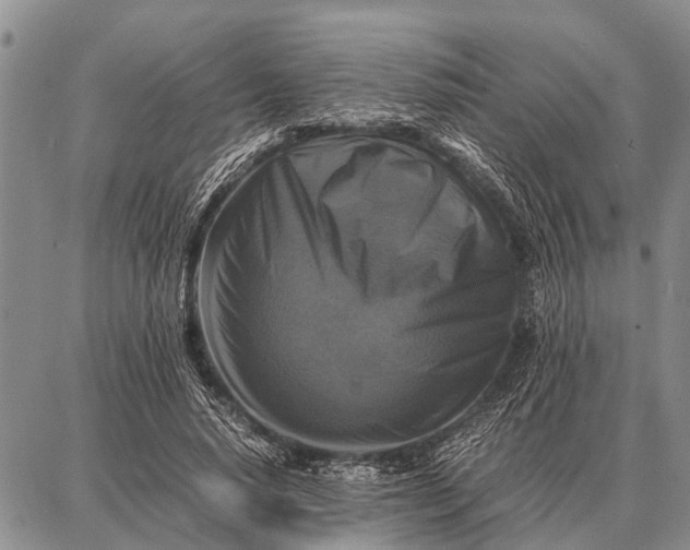 X0000087710640200705181845