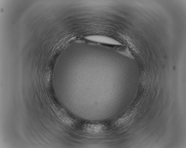 X0000087710645200705181846