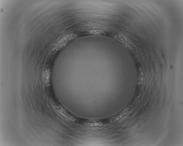 X0000087710646200705181846