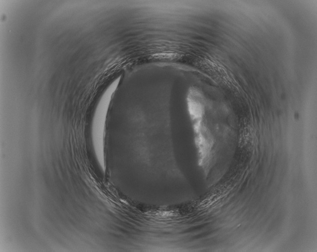 X0000087710647200705181846