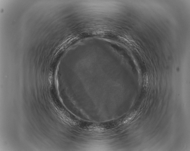 X0000087710648200705181846