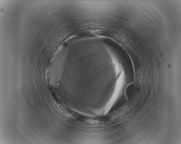 X0000087710650200705181846