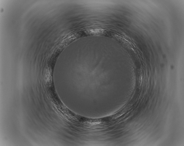 X0000087710651200705181846