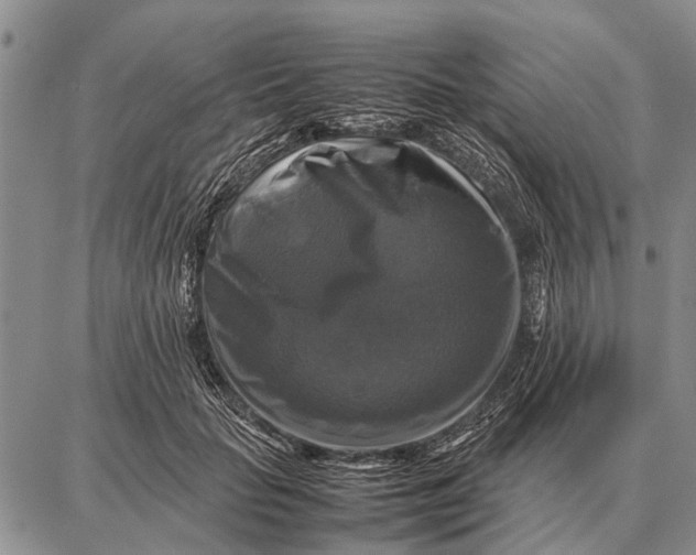 X0000087710653200705181846