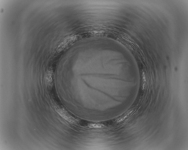 X0000087710654200705181846