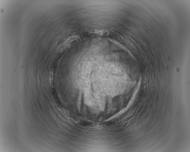 X0000087710656200705181846