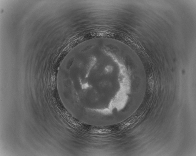 X0000087710657200705181846