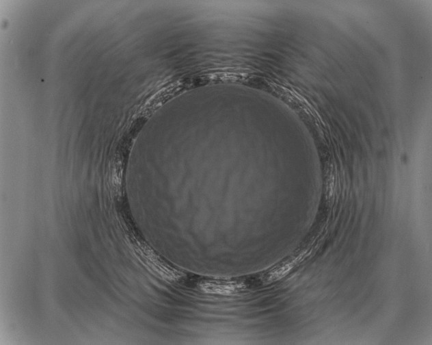 X0000087710661200705181846