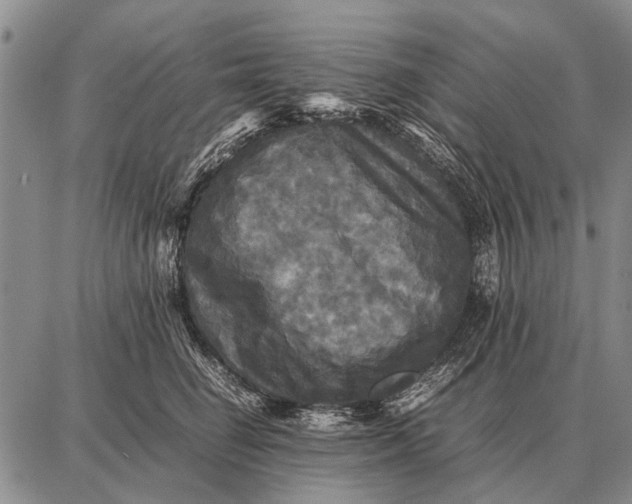 X0000087710662200705181846