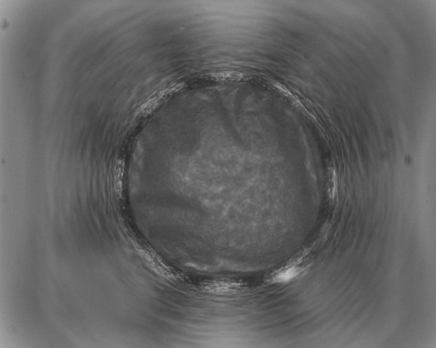 X0000087710664200705181846