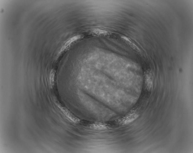 X0000087710668200705181846