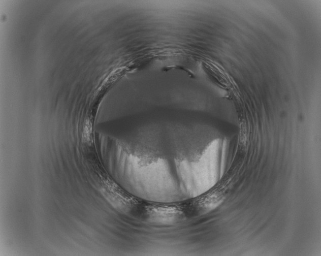 X0000087710669200705181846