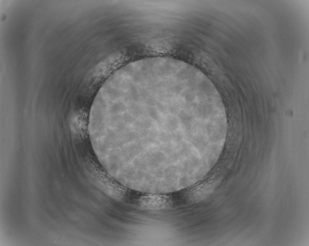 X0000087710672200705181846