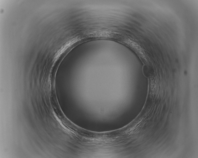 X0000087710674200705181845