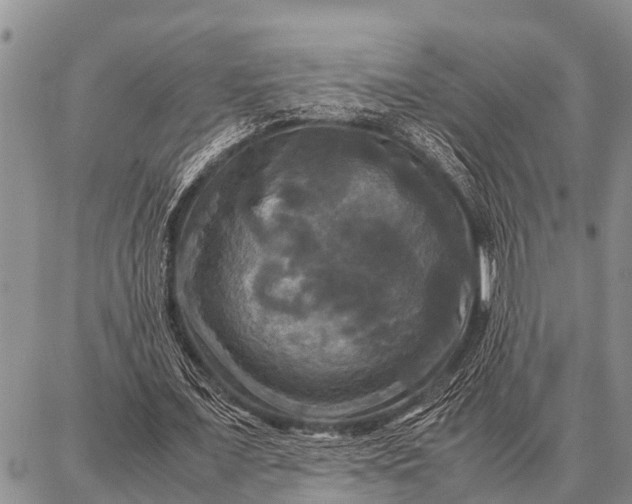 X0000087710675200705181845