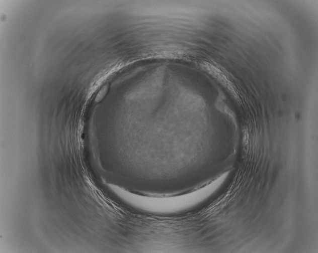 X0000087710676200705181845