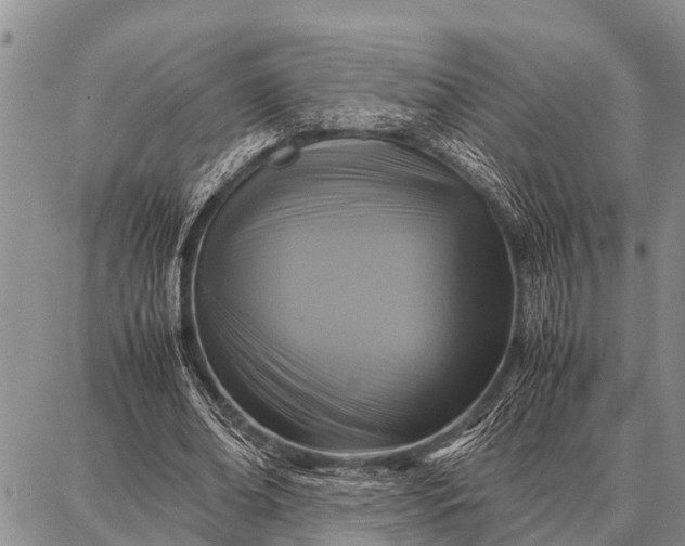 X0000087710678200705181845