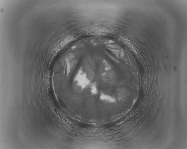 X0000087710679200705181845