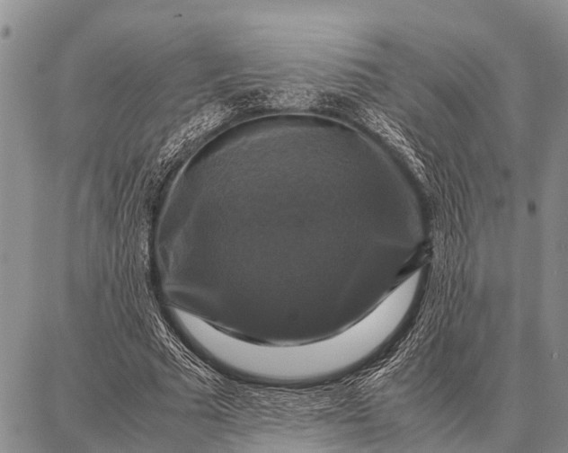 X0000087710681200705181845