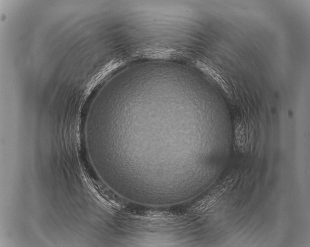 X0000087710682200705181845