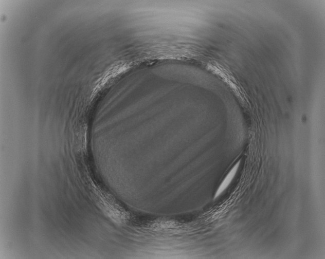 X0000087710685200705181845