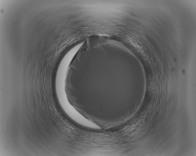 X0000087710689200705181845