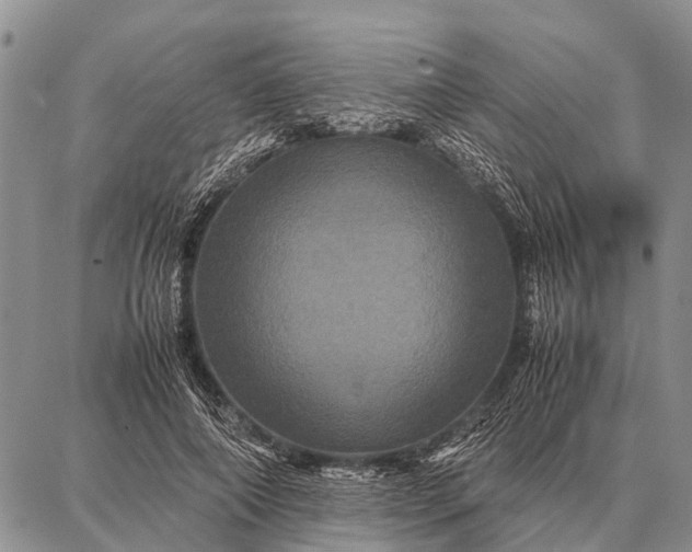 X0000087710690200705181845