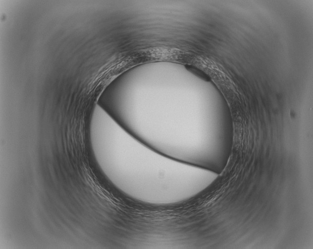 X0000087710696200705181845