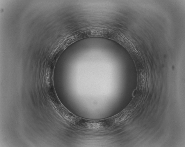 X0000087710698200705181845