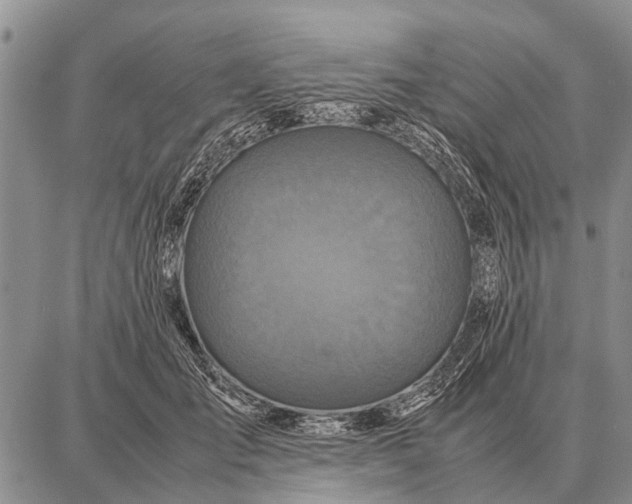 X0000087710701200705181845