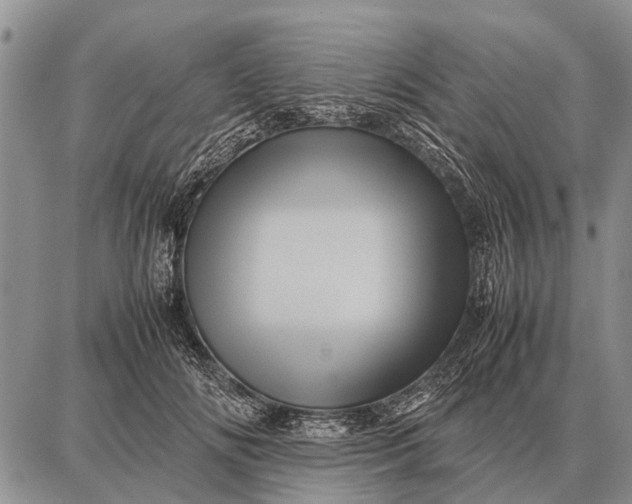 X0000087710702200705181845