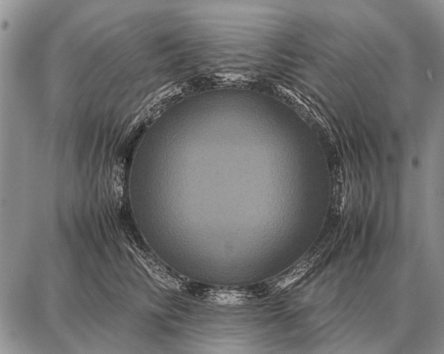 X0000087710710200705181845