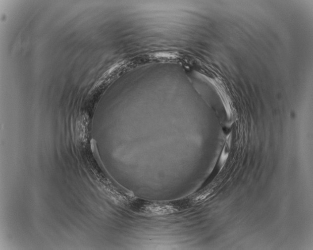 X0000087710712200705181845