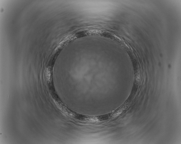 X0000087710715200705181845