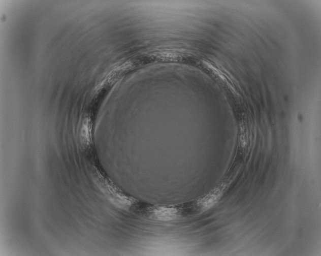 X0000087710718200705181844